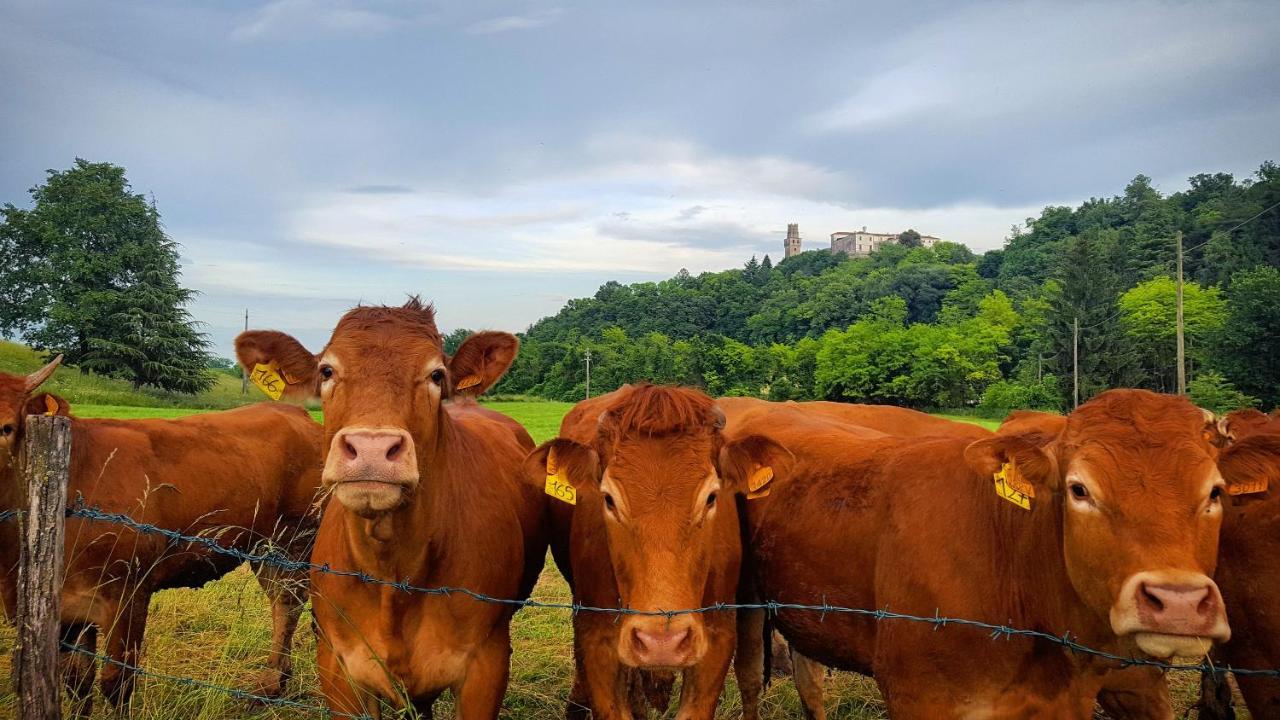 مبيت وإفطار Susegana Pie Castello المظهر الخارجي الصورة